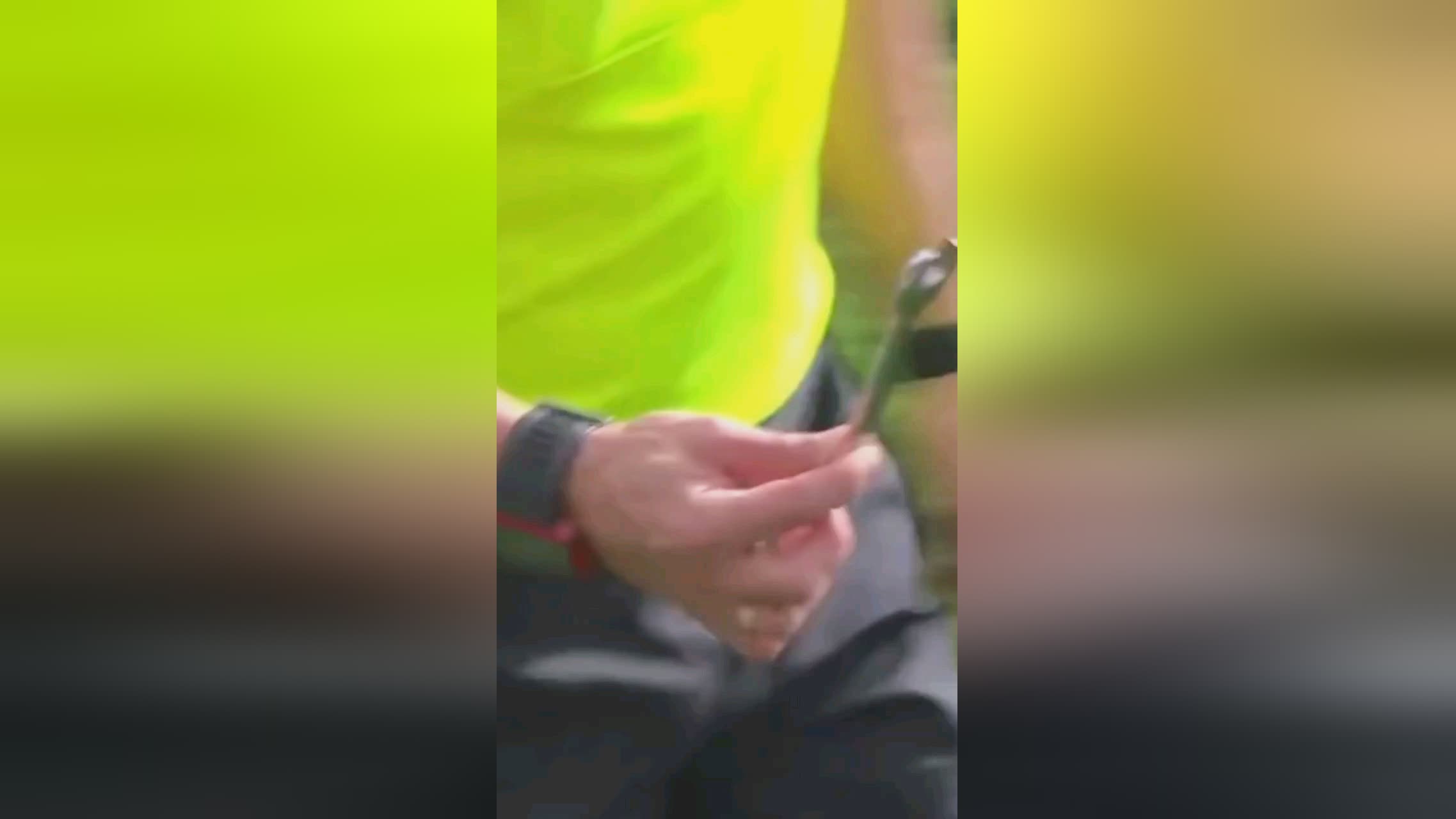 体上的影响